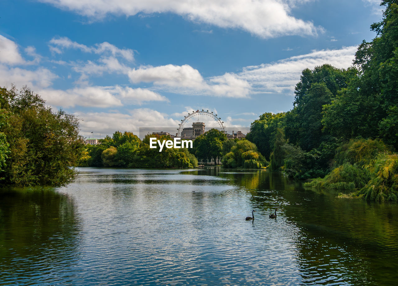 St. james park. london 2009