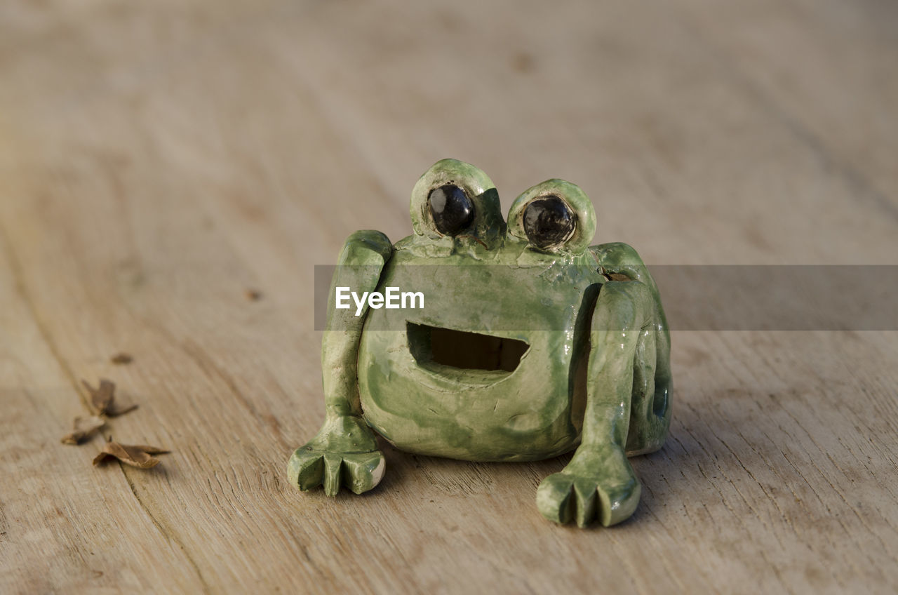 CLOSE-UP OF A FROG ON TABLE