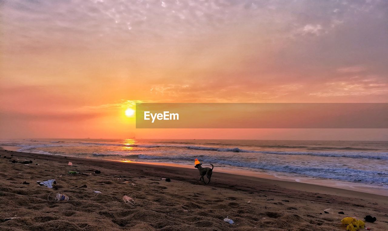 MAN STANDING ON BEACH AGAINST SKY DURING SUNSET