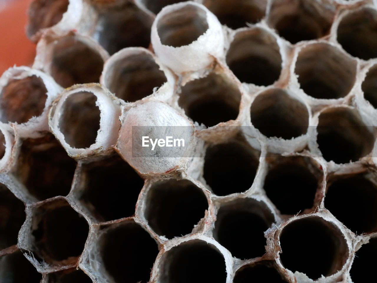 FULL FRAME SHOT OF DRY PATTERN