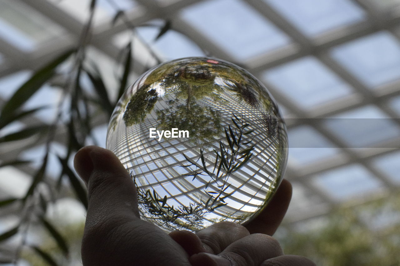 Close-up of hand holding crystal ball in greenhouse