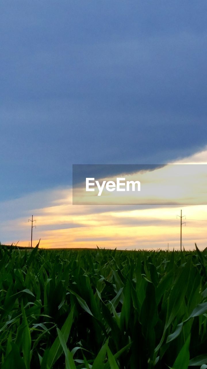 VIEW OF FIELD AGAINST CLOUDY SKY