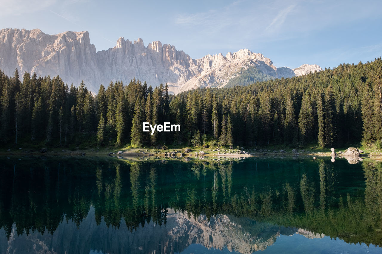 Scenic view of lake by trees in forest against sky