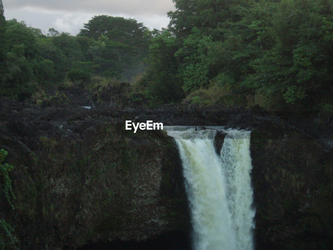 WATERFALL IN FOREST AGAINST SKY