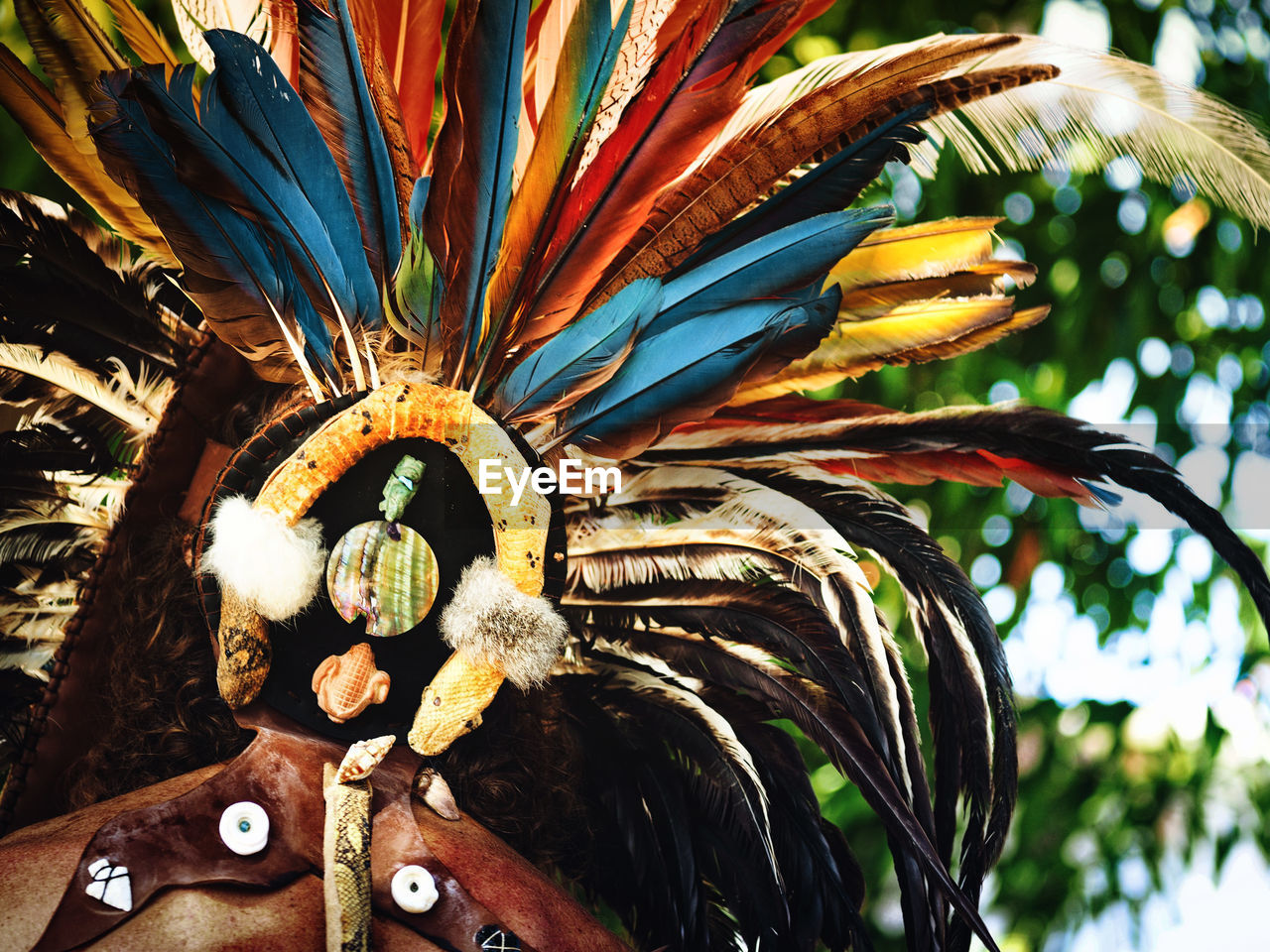 Cropped image of person wearing headdress