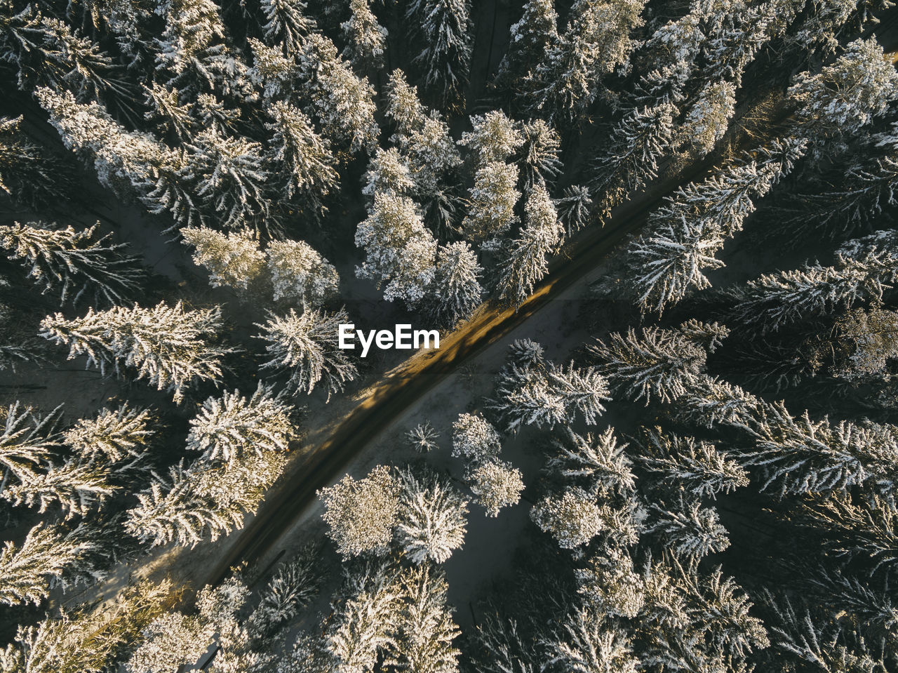 Full frame shot of snow covered field