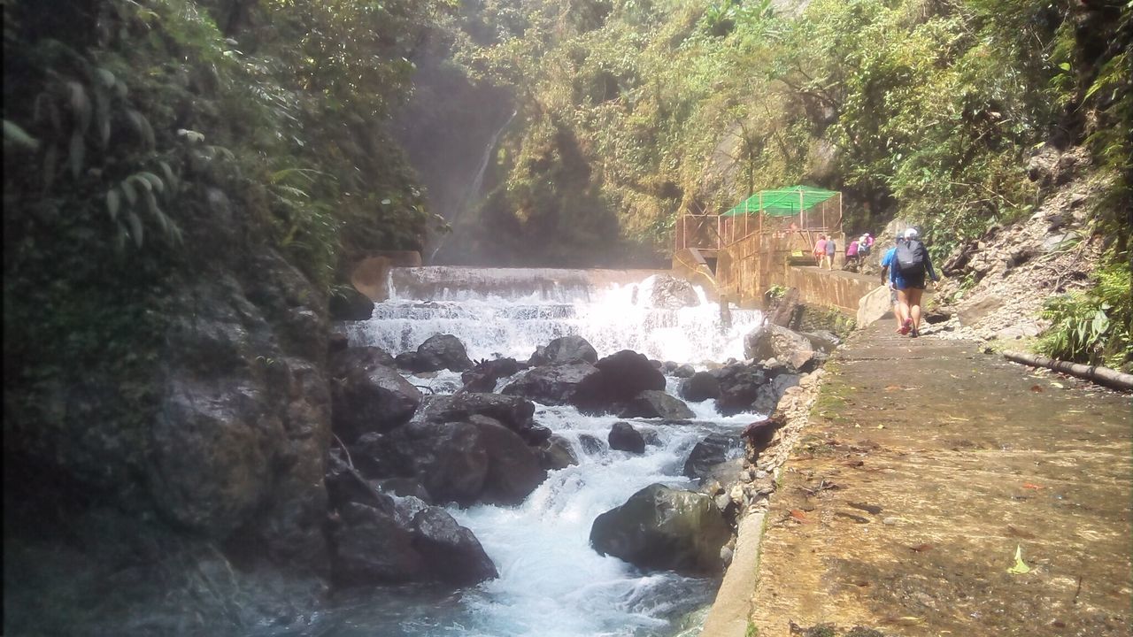 SCENIC VIEW OF WATERFALL AND FOREST