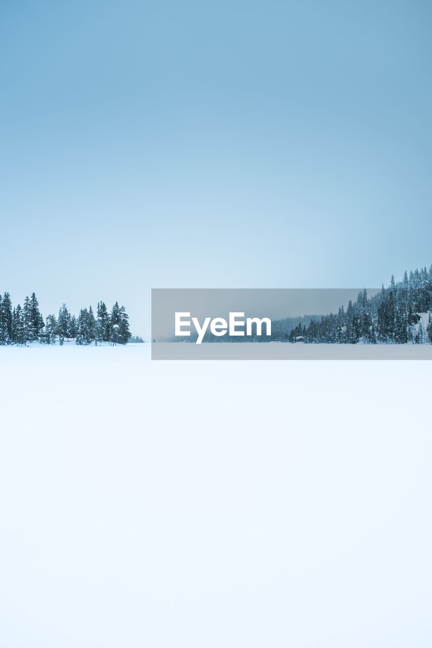 SCENIC VIEW OF FROZEN TREES AGAINST SKY