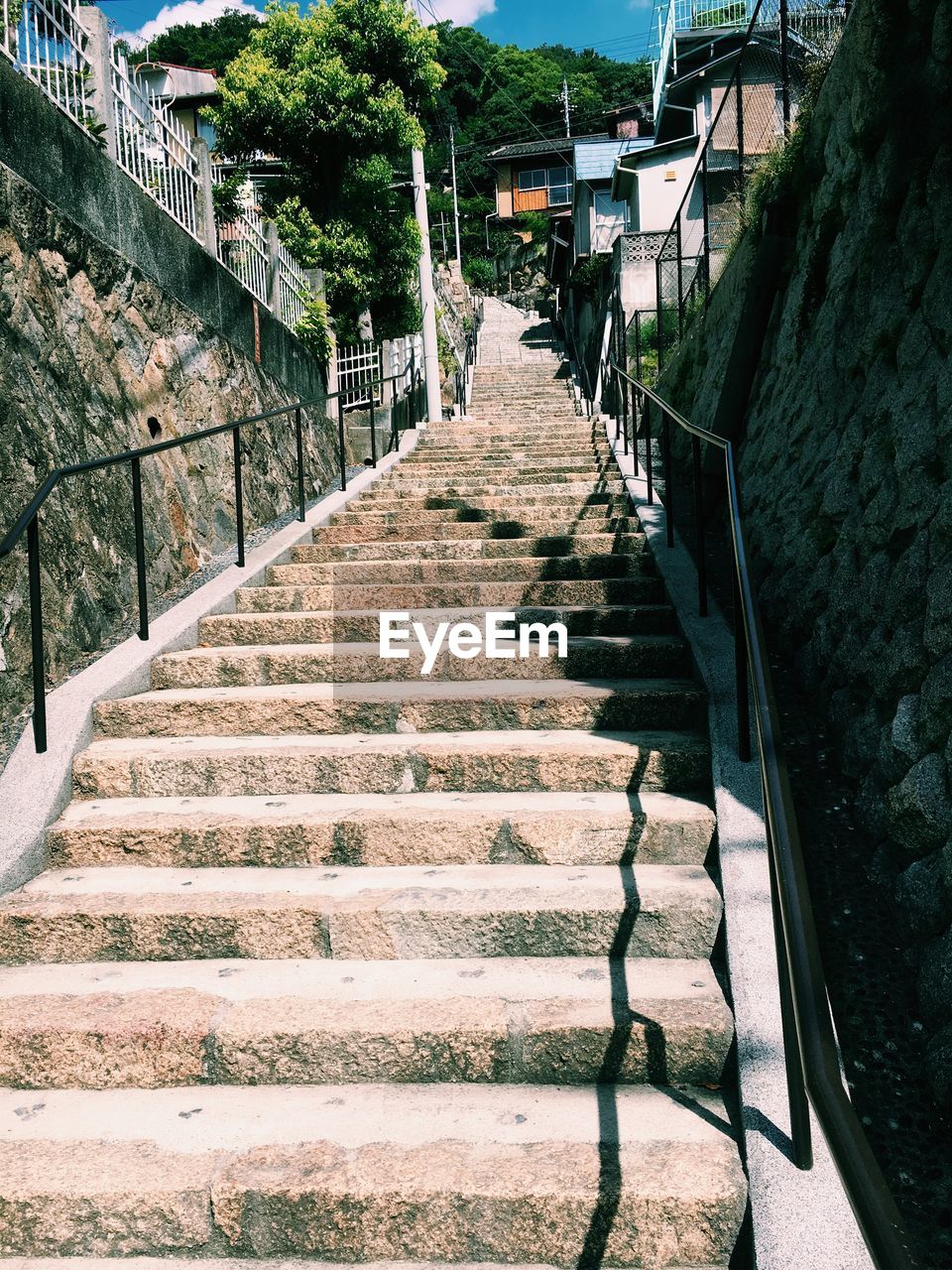 Staircase leading towards plants