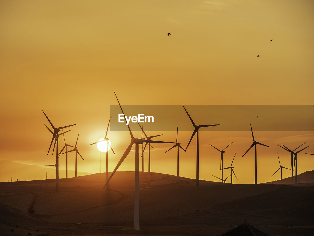 Silhouette wind turbines on land against sky during sunset