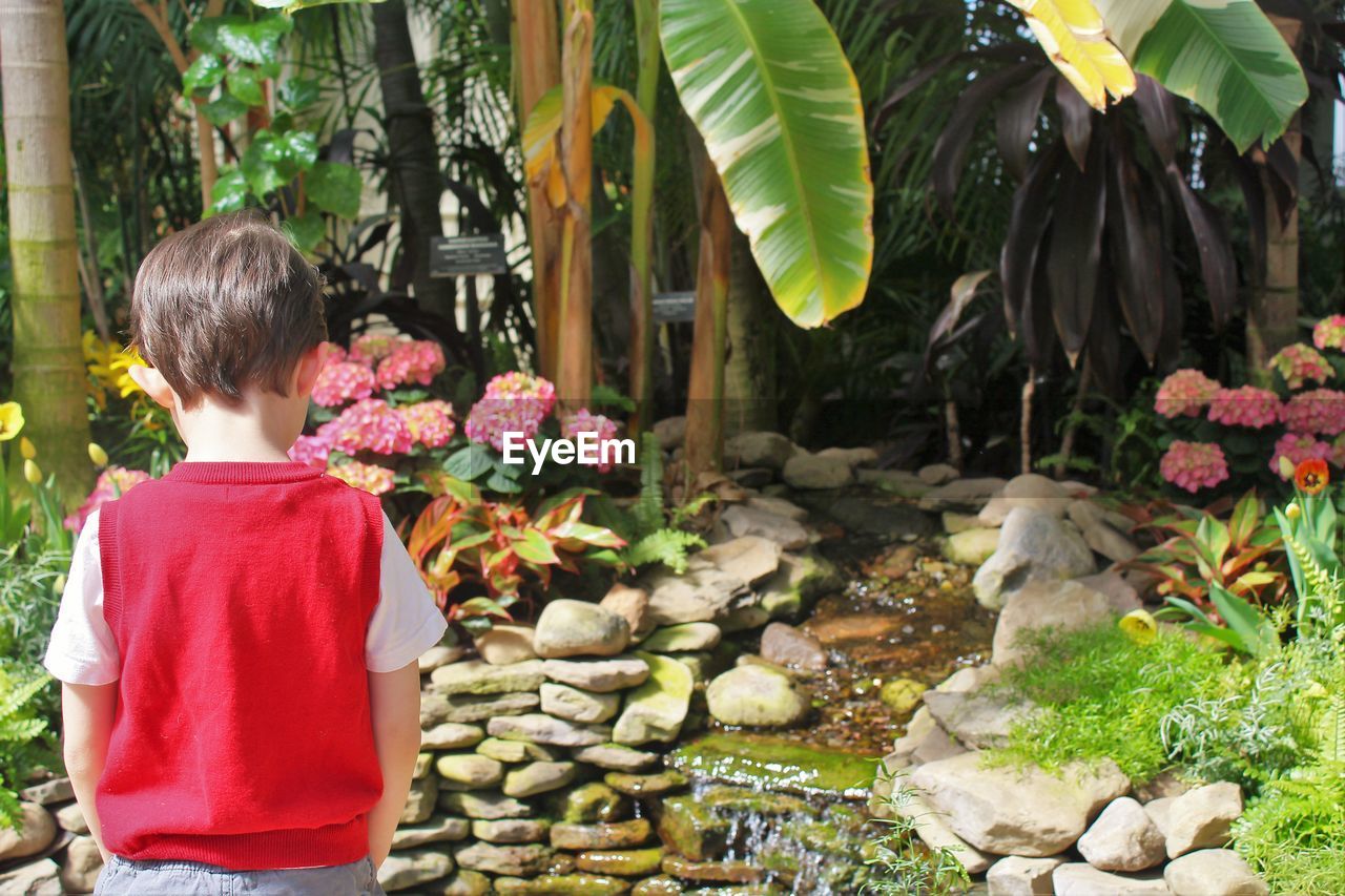 Rear view of boy standing at park