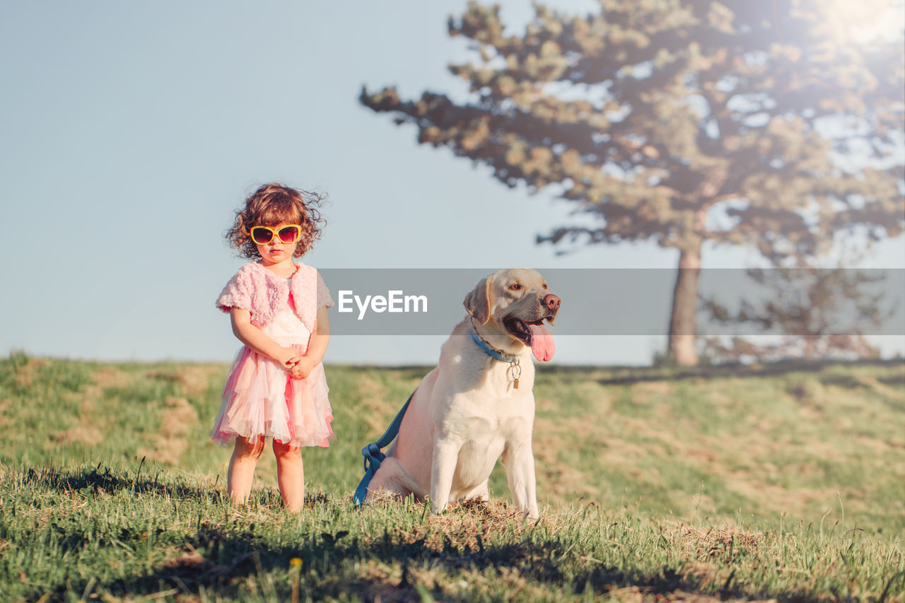 Cute stylish little caucasian child girl in sunglasses walking dog in park field on summer day