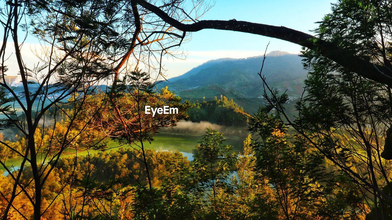 Scenic view of lake by trees against sky during autumn