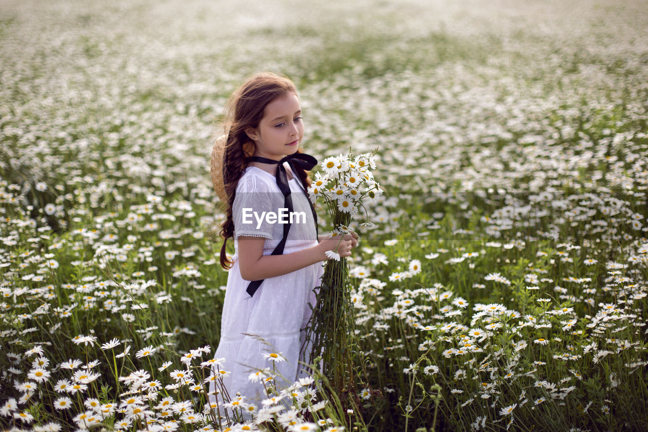 Portrait girl child in a white dress stands on a camomile field. bouquet of flower