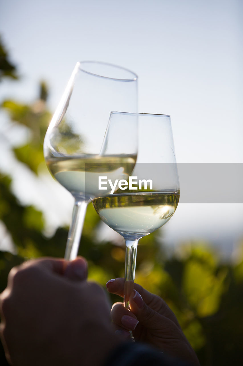 close-up of wineglass against white background