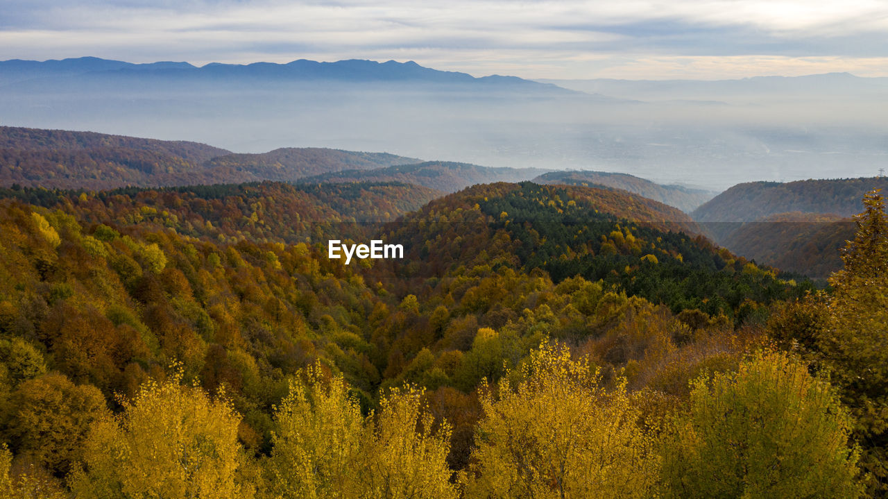 SCENIC VIEW OF LANDSCAPE AGAINST SKY DURING AUTUMN