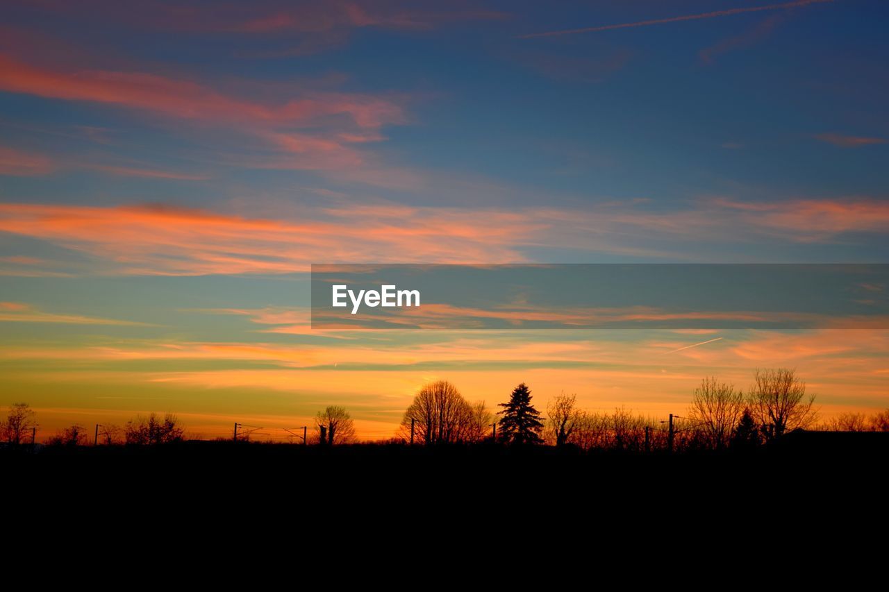 SILHOUETTE OF TREES ON LANDSCAPE AGAINST SUNSET SKY