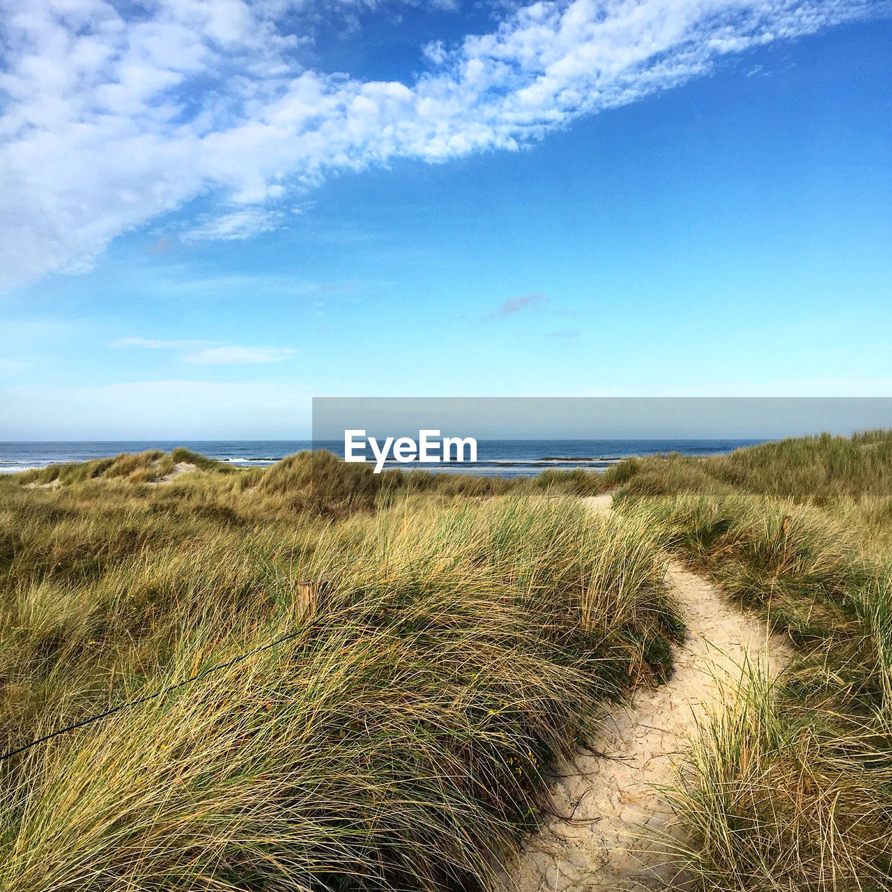 Scenic view of beach against cloudy sky