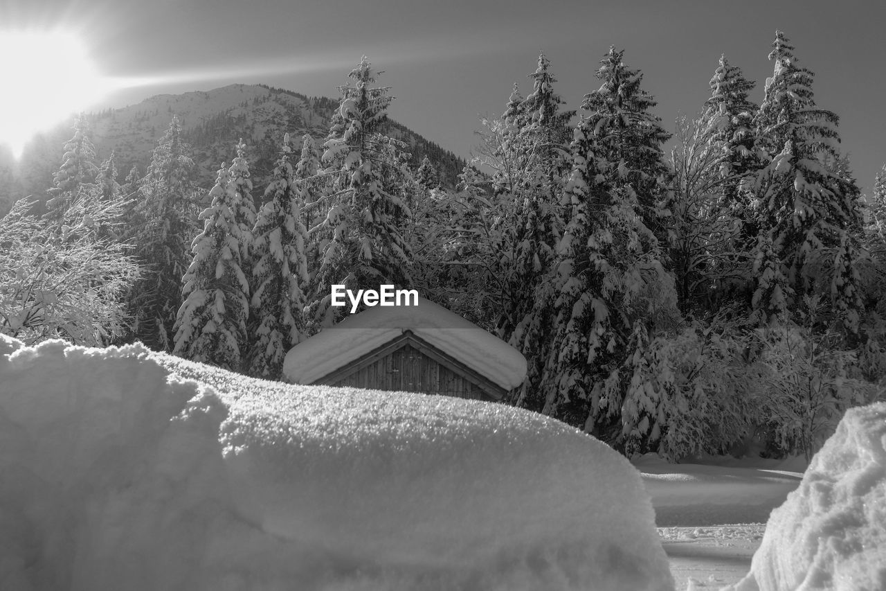 SNOW COVERED LAND AGAINST TREES AND MOUNTAINS