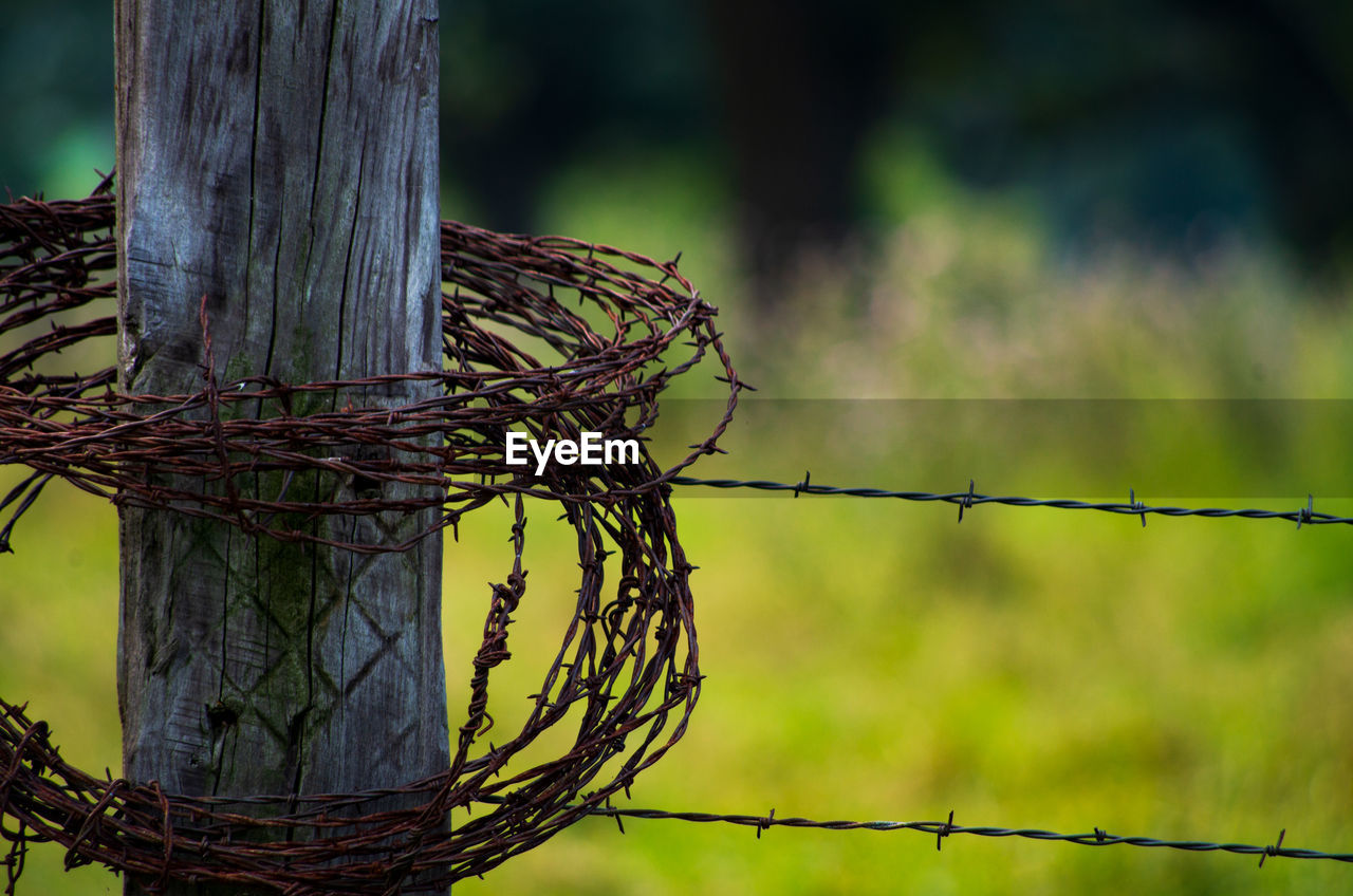 Close-up of barbed wire wrapped on wooden pole