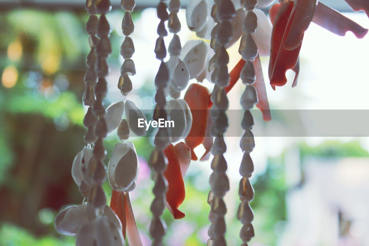 CLOSE-UP OF CLOTHES HANGING ON CLOTHESLINE