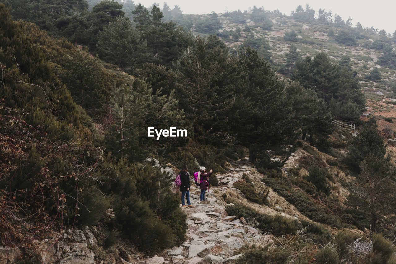 Hikers standing on mountain