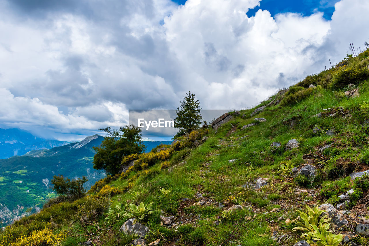 cloud, sky, environment, nature, mountain, scenics - nature, landscape, beauty in nature, mountain range, plant, land, wilderness, tree, meadow, ridge, travel, travel destinations, non-urban scene, tranquility, no people, forest, pinaceae, tranquil scene, highland, coniferous tree, green, grass, activity, pine tree, plateau, walking, outdoors, tourism, pine woodland, valley, day, adventure, idyllic, summer, blue, cloudscape, vacation, social issues, trip, environmental conservation, mountain peak, water, mountain pass, holiday, rock, leisure activity