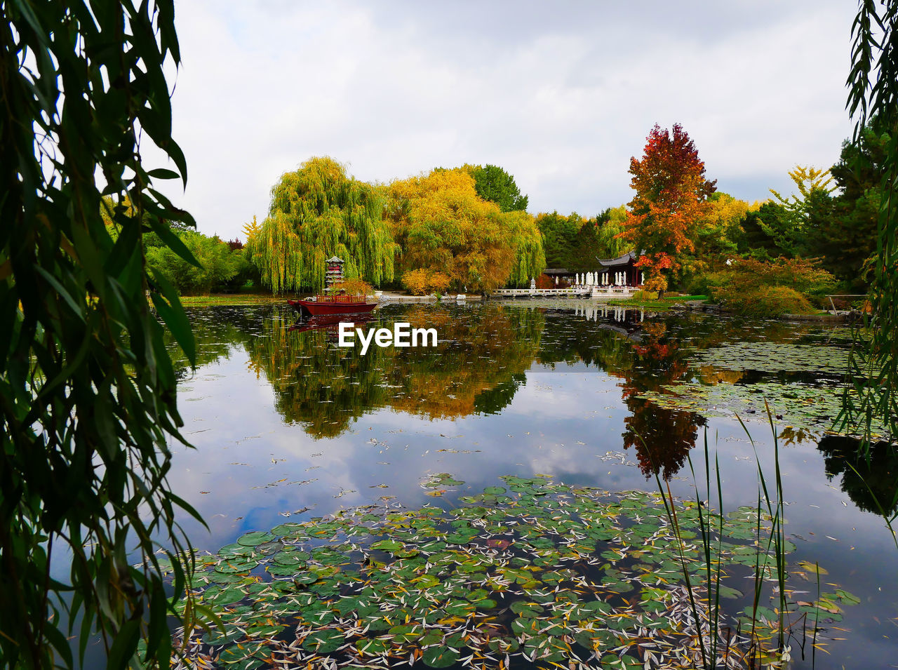 water, reflection, nature, lake, plant, autumn, leaf, tree, sky, flower, beauty in nature, tranquility, scenics - nature, environment, cloud, garden, no people, landscape, tranquil scene, travel destinations, plant part, outdoors, grass, travel, body of water, day, green, tourism, architecture, reflection lake, non-urban scene, land, rural area, multi colored, idyllic