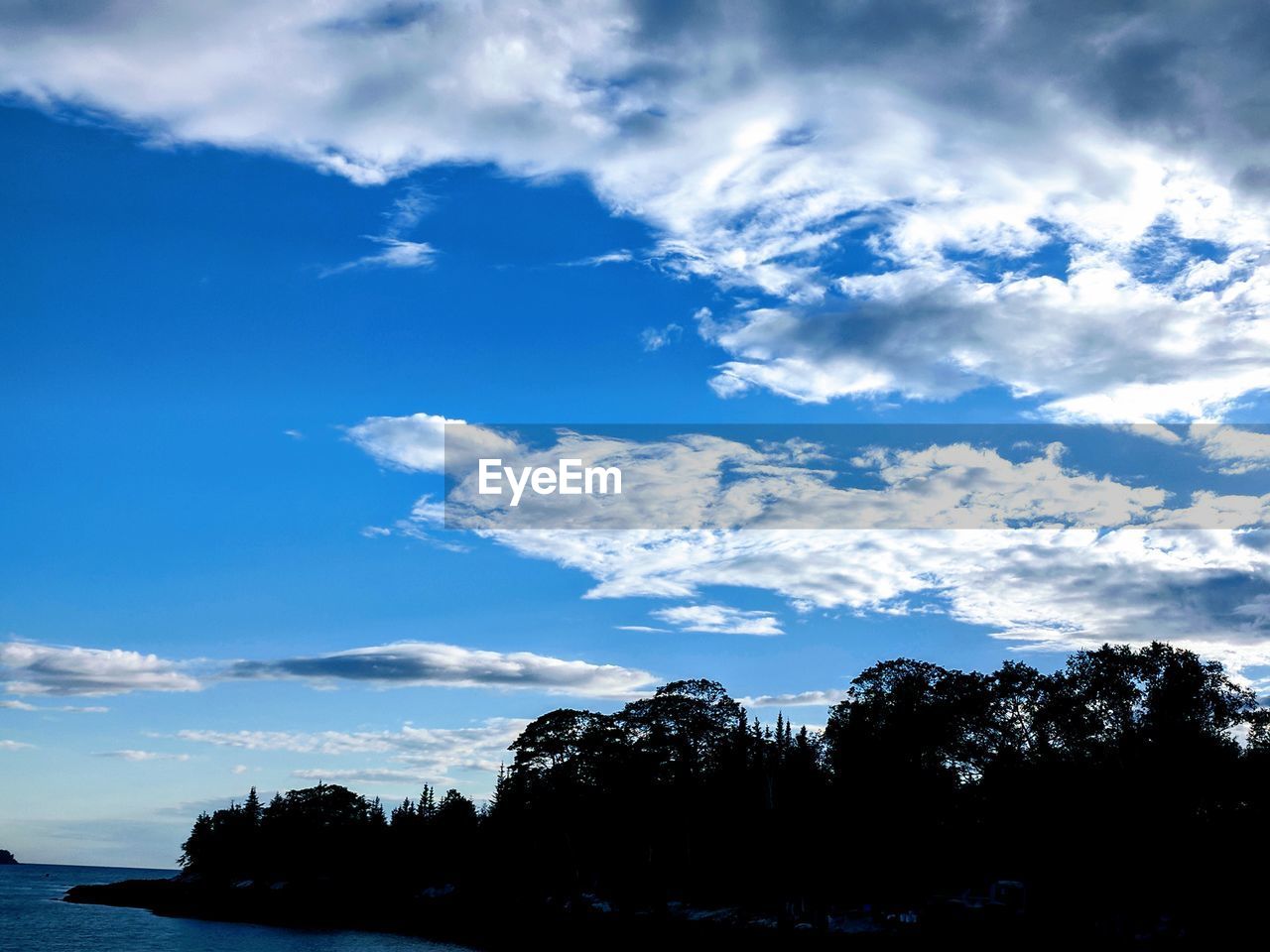 LOW ANGLE VIEW OF TREES AGAINST SKY