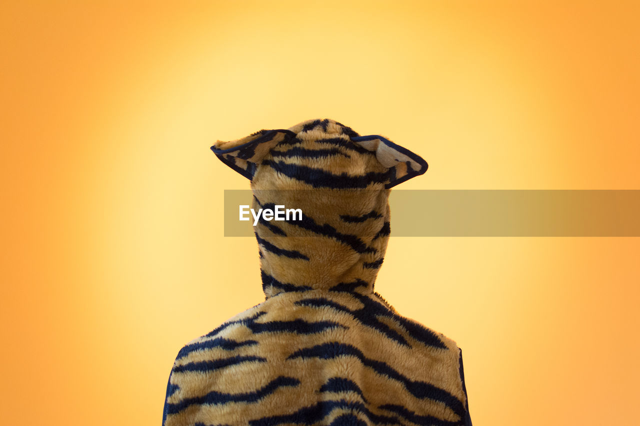 Rear view of person in tiger costume in front of orange background