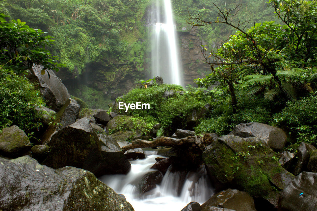 SCENIC VIEW OF WATERFALL AMIDST TREES