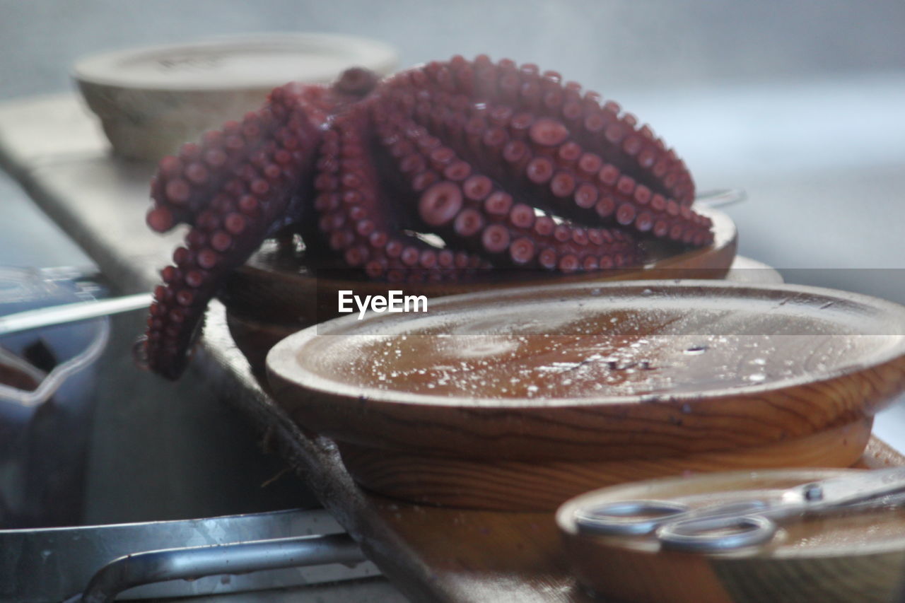 CLOSE-UP OF SWEET FOOD IN CONTAINER