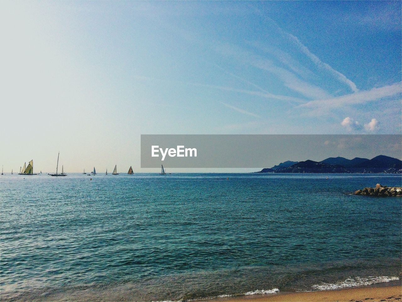 FLOCK OF BIRDS ON SEA AGAINST BLUE SKY