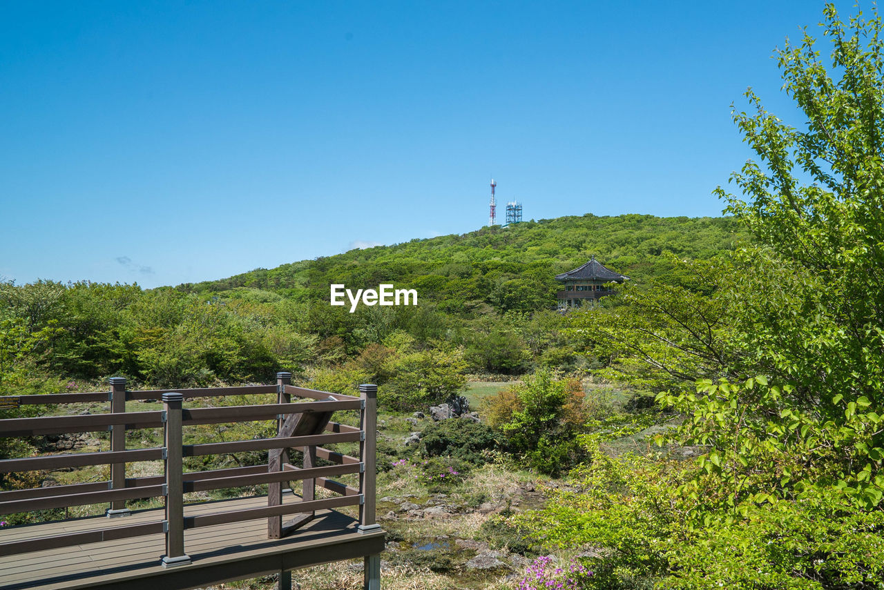 Empty wooden walkway against clear blue sky at hallasan national park