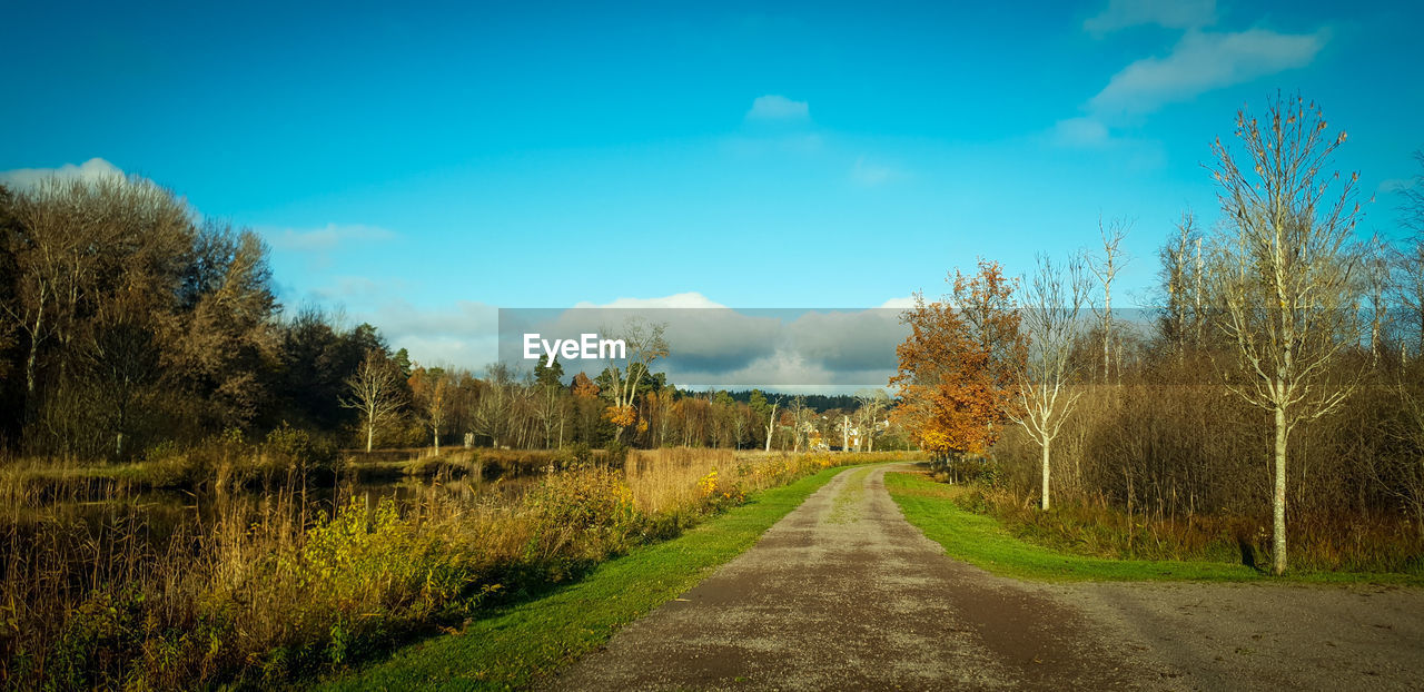 DIRT ROAD ALONG TREES AND PLANTS AGAINST SKY