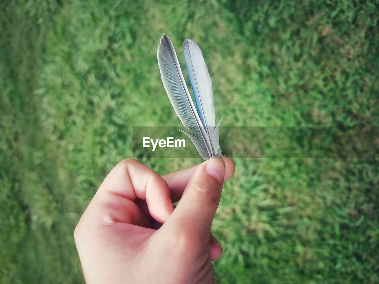 CLOSE-UP OF HAND HOLDING PLANT AGAINST GRASS