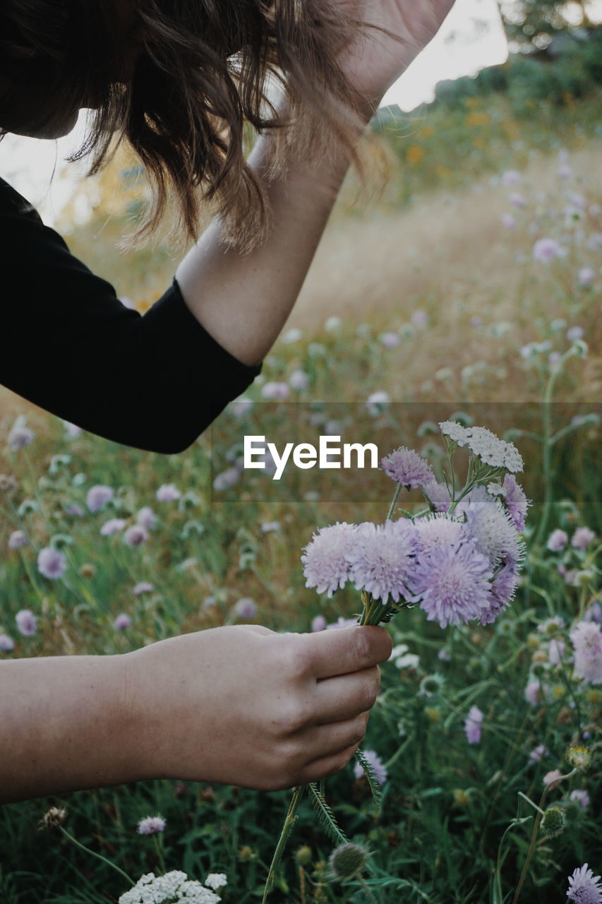 Cropped hands of young woman picking flowers at park