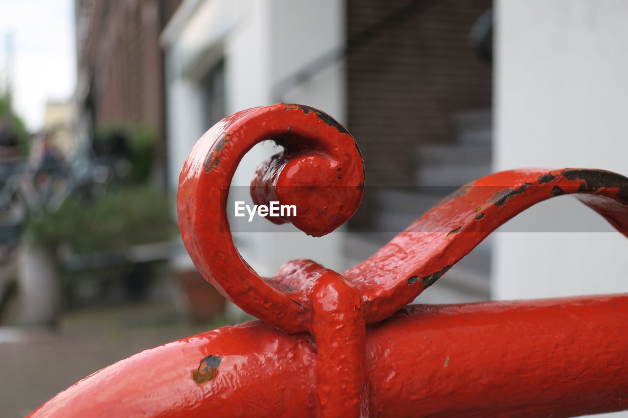 CLOSE-UP OF WET RED BERRIES ON METAL STRUCTURE