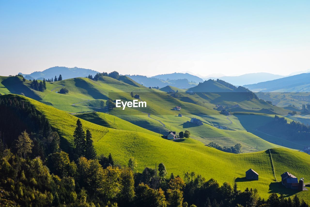 Scenic view of landscape against clear sky