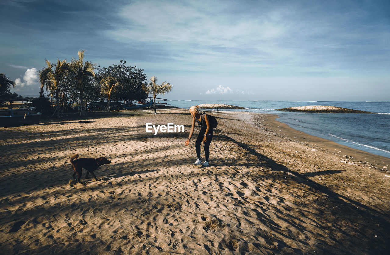 View of dog on beach against sky