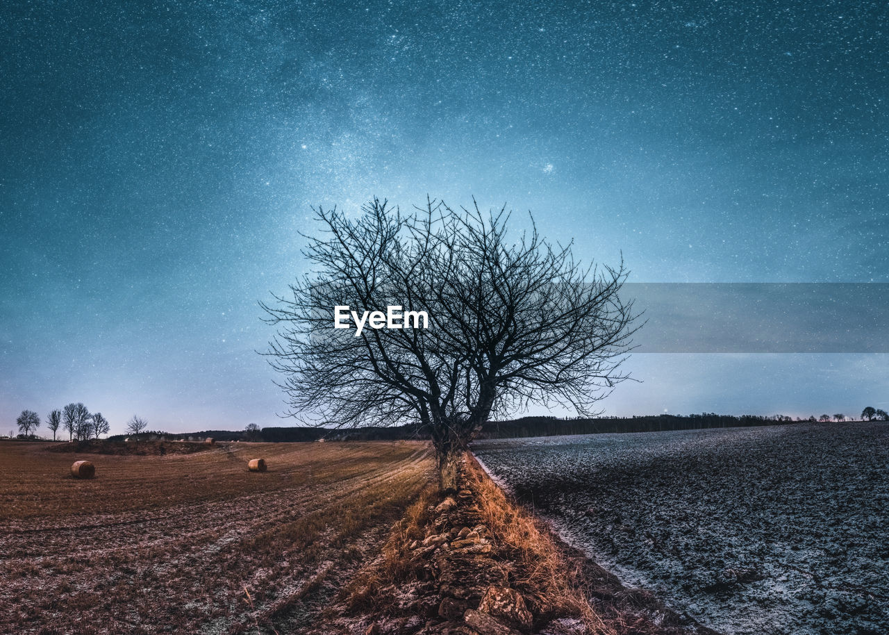 Tree on field against sky at night