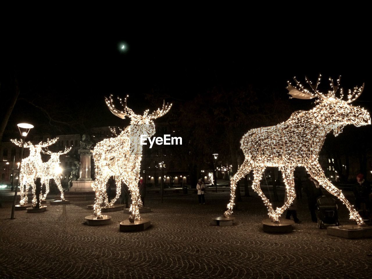 Deer made up of illuminated christmas lights at night