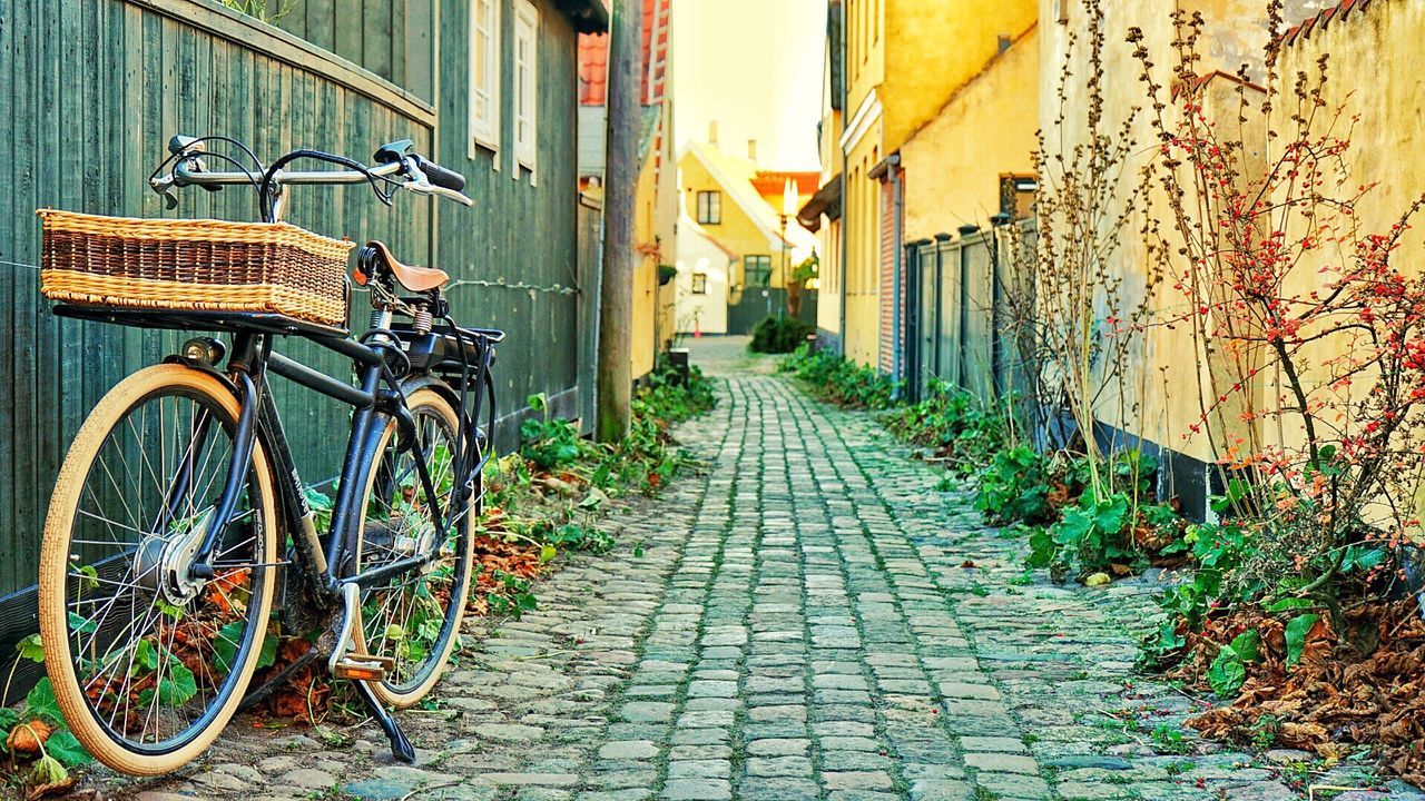 BICYCLE IN ALLEY