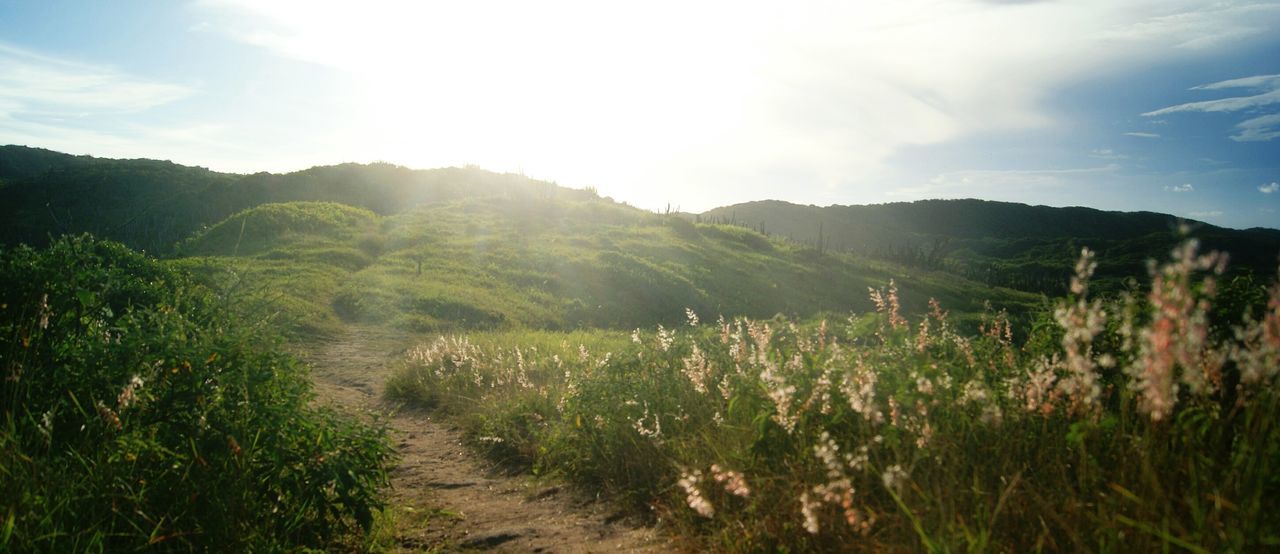 Scenic view of landscape against sky