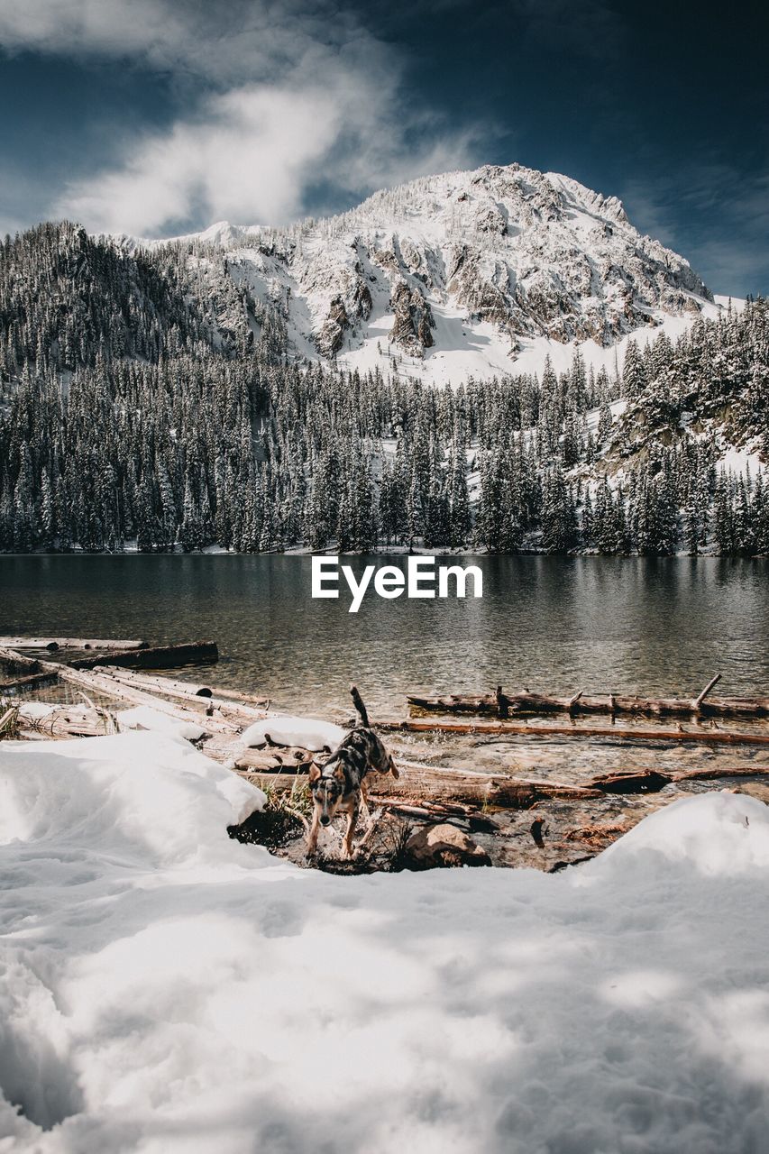 Scenic view of frozen lake against sky