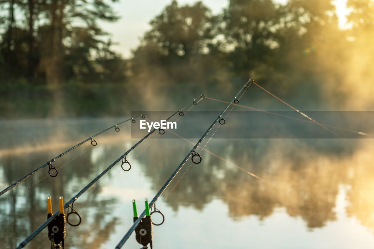 Carp fishing rods misty lake.