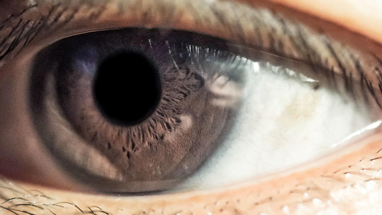 Full frame shot of human eye