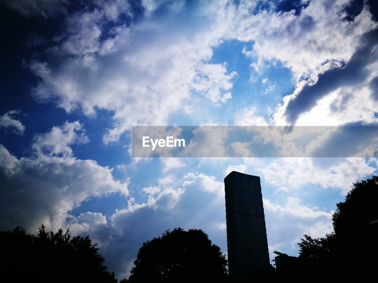 LOW ANGLE VIEW OF SKY OVER SILHOUETTE TREES AGAINST BLUE CLOUDY DAY