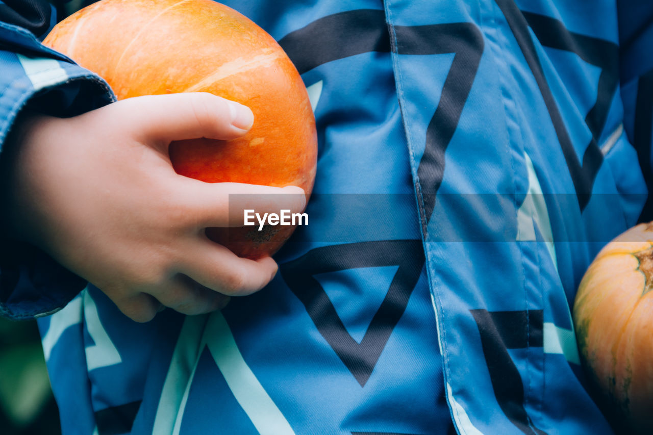 The child holds an orange pumpkin in his hands. halloween and thanksgiving season. harvesting