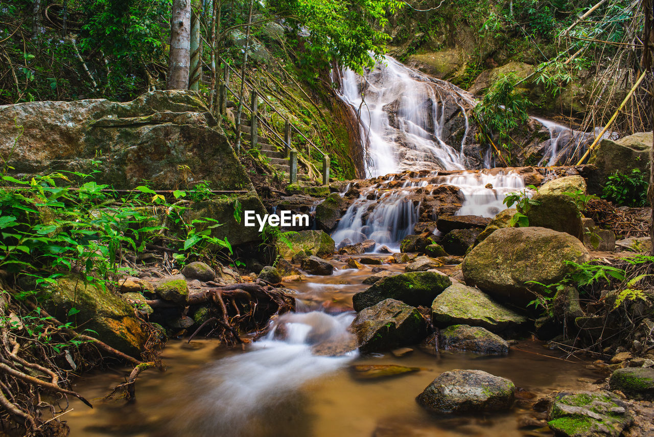 Waterfall in forest